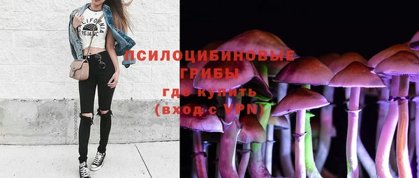 прущая мука Аркадак